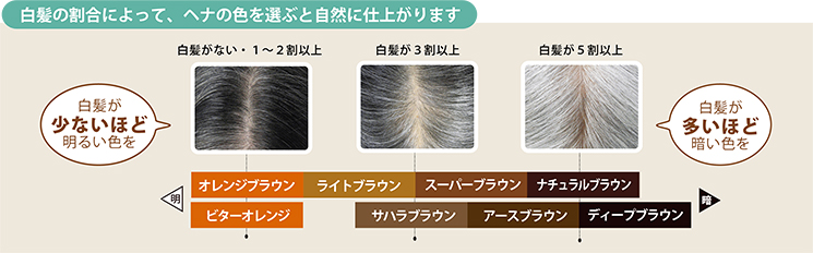白髪の割合によって、ヘナの色を選ぶと自然に仕上がります